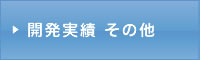 開発実績 その他